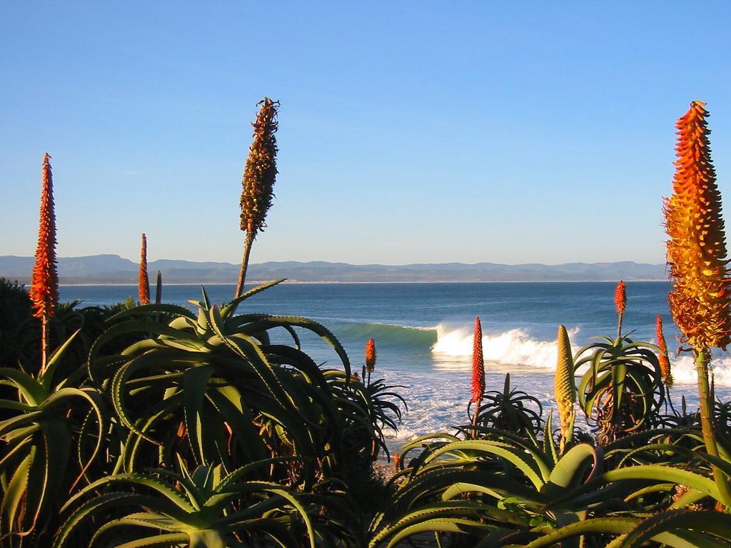 Hotel Beach House Jeffreys Bay Exterior foto